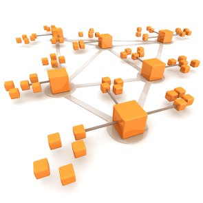 Das Bild zeigt eine Netzwerkdarstellung