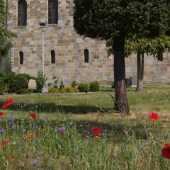 Das Bild zeigt eine buntes Beet. Im Hintergrund ist die ev. Kirche zu sehen.